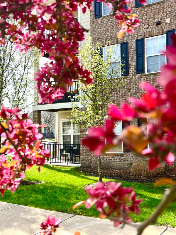 Spring red buds are in bloom with Central Park residents' outdoor spaces in the background.